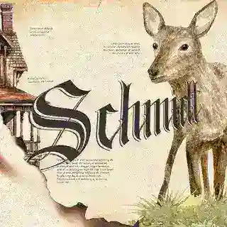 THE SCHMIDT.