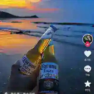 审核员（上榜合作投诉业务联系）
