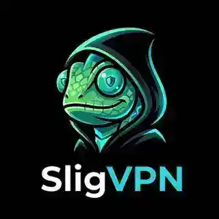 Slig VPN