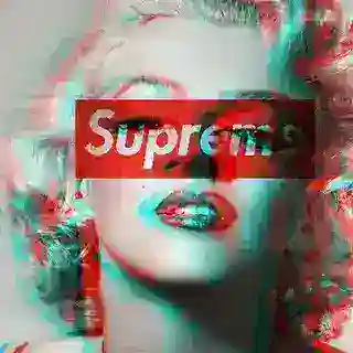 Supreme【私信限制】