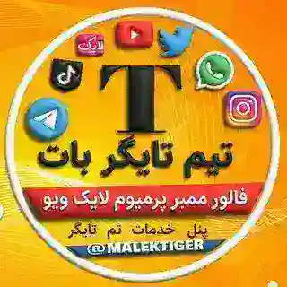 پنل فالور ممبر ᴛɪɢᴇʀ🥇