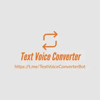 Text Voice Converter