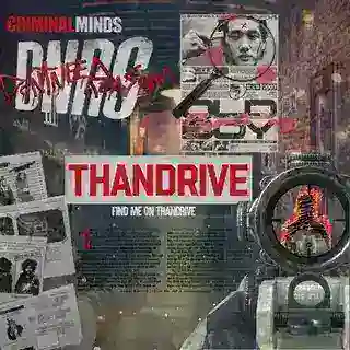THANDRIVE : ORDER BOT