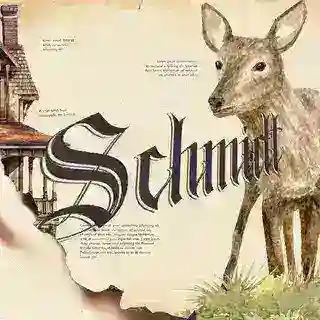 THE SCHMIDT.