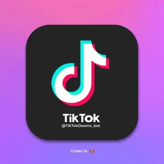 Tik Tok Downloader
