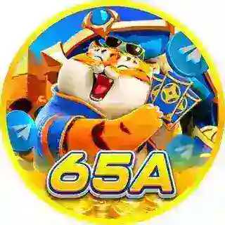 65A.com