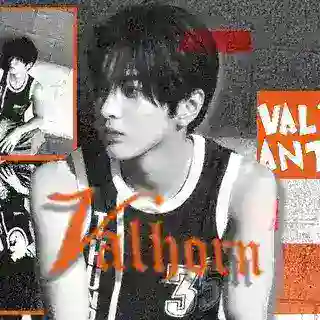 VALHORN.