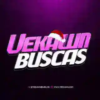 VekawnConsultasBot