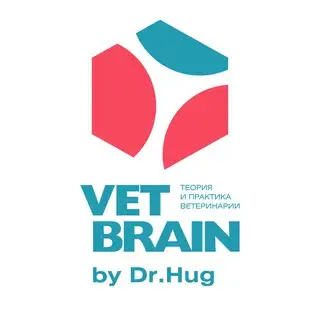 Бот образовательного центра Vet Brain by Dr. Hug