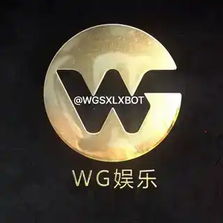 WG官方双向机器人