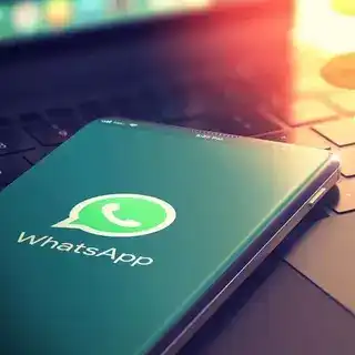 Wa Checker pro