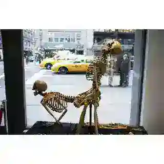 بوت قصص سكسية ،
