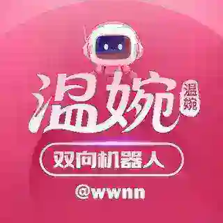 温婉-双向机器人