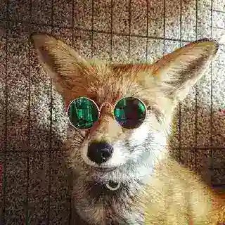 Egg Counting Bot But He Sends Foxes