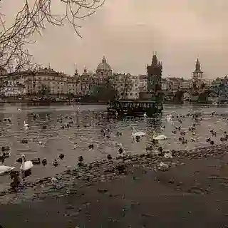 زهرا شمسایی رتبهٔ ۱🩵✨