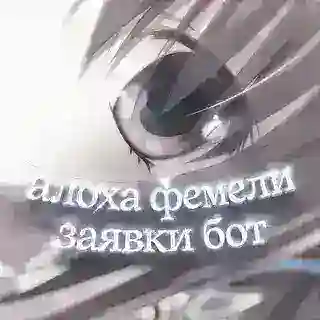 алоха фемели заявки