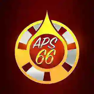 APS66 _ Service