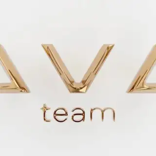 AVA team Bot