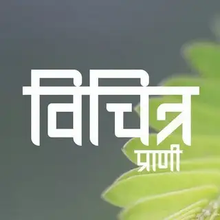 D@rk Area