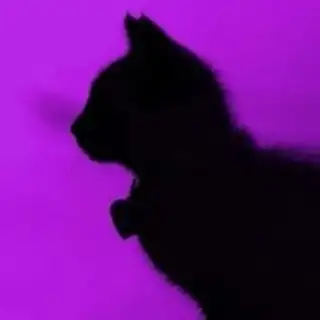 Meow Music メ