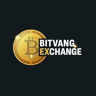 BitVangEX | Обмен и продажа USDT