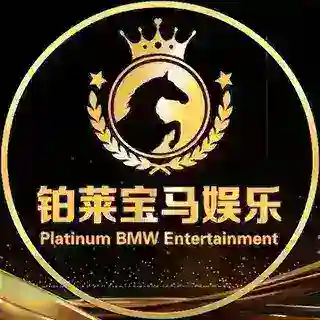 铂莱宝马娱乐