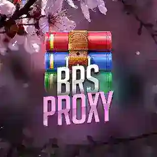 BRUSKAS PROXY