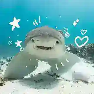 REKBER AQUA BOT