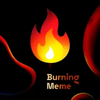 Burning Meme