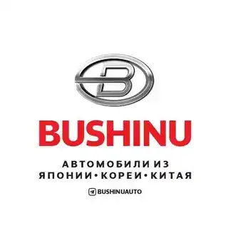BUSHINUAUTO BOT