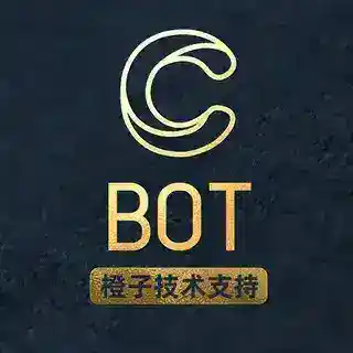 橙子出海-双向机器人