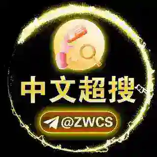 超搜🔍中文搜索引擎@ZWCS