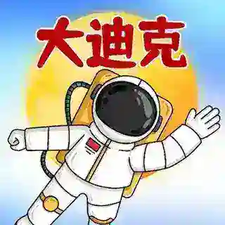 大迪克商店