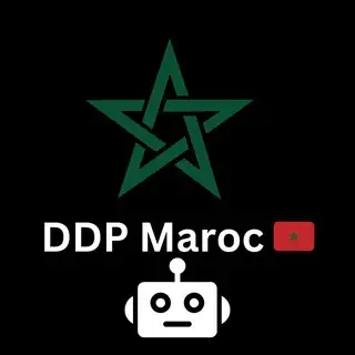 DDP MAROC BOT