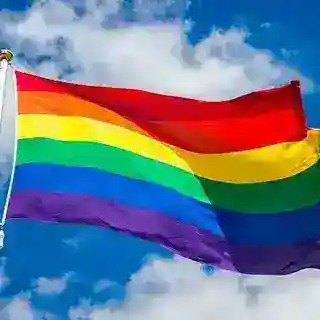 Search LGBTQ Content