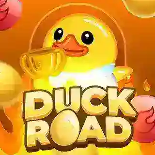 DUCK ROAD