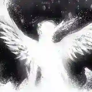 𝐅𝐀𝐂𝐄 𝐒𝐖𝐀𝐏𝐏𝐄𝐑