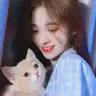 菲菲裸聊助手