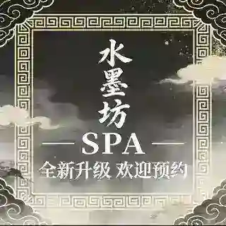水墨坊双向机器人