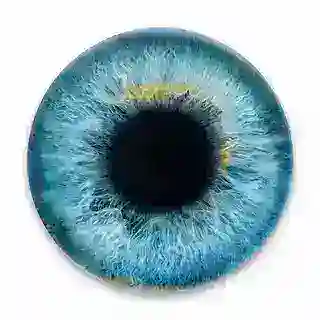 Глаз Цукера 👁