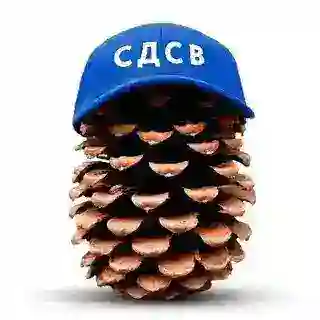 Сделаем «Дело» снова великим