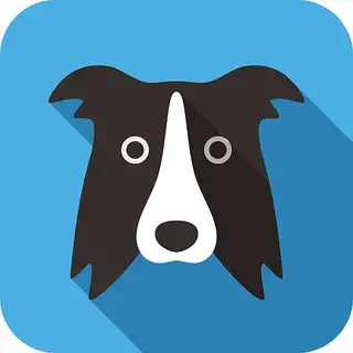 牧羊犬