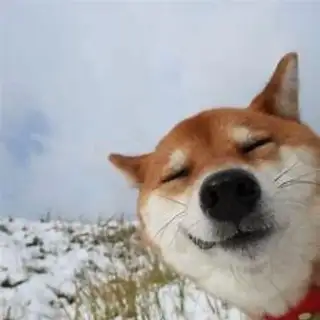 商务对接