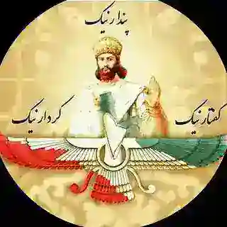 ربات هم دوره