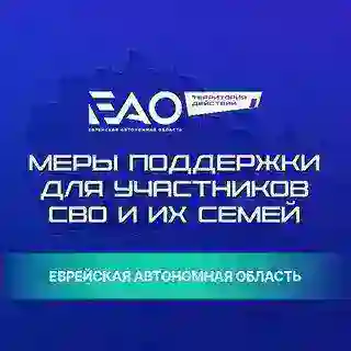 Поддержка участников СВО в ЕАО