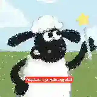 Bot 🤖 || Hamza Raed
