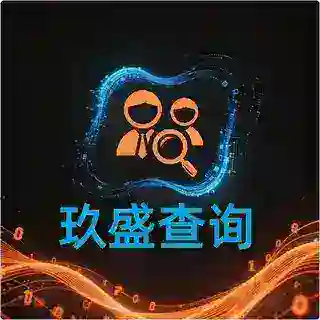 玖盛 - 查询机器人