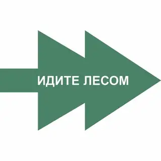 Сбор макулатуры Идите лесом