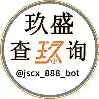 玖盛 - 查询机器人