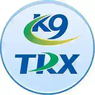 0.5TRX转U能量K9trxuu号机器人（正常运营）